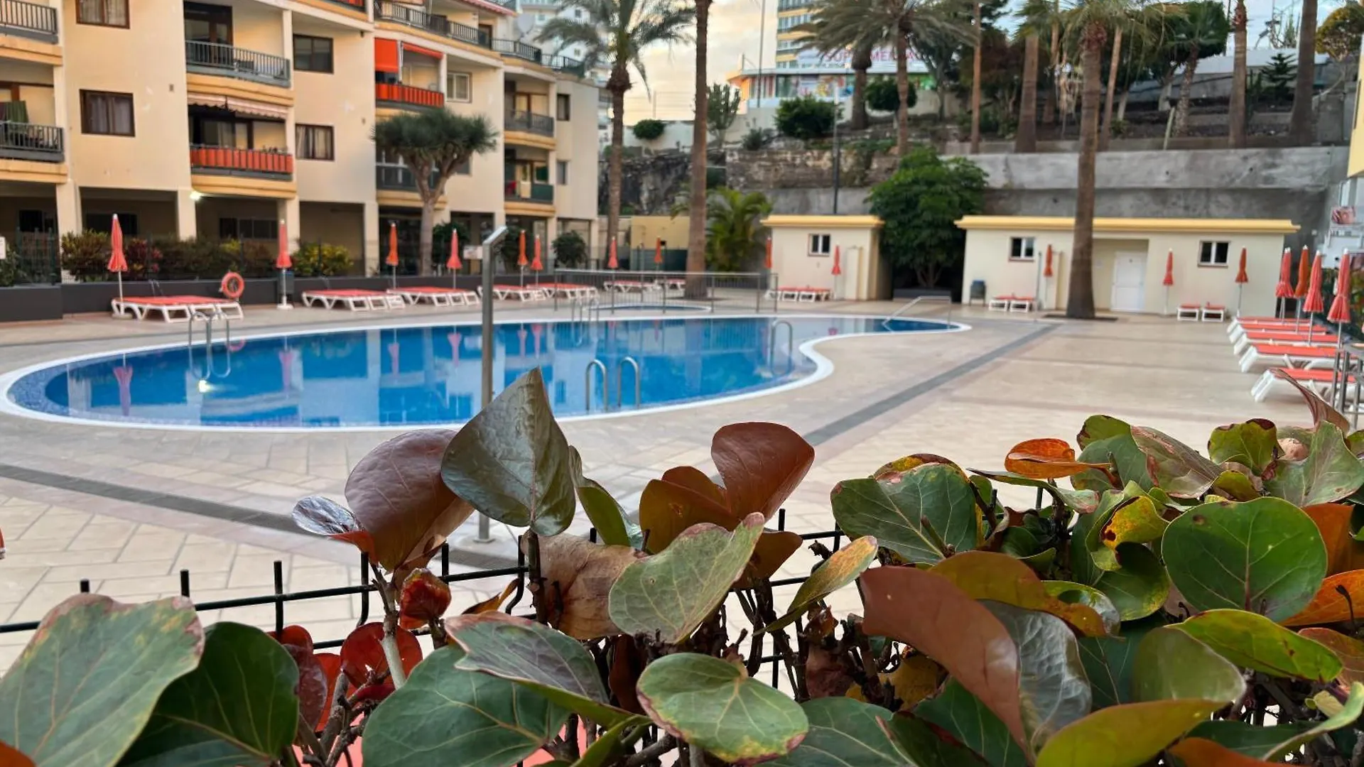 Apartamento Con Vistas Al Mar Los Cristianos  Apartment Los Cristianos (Tenerife)